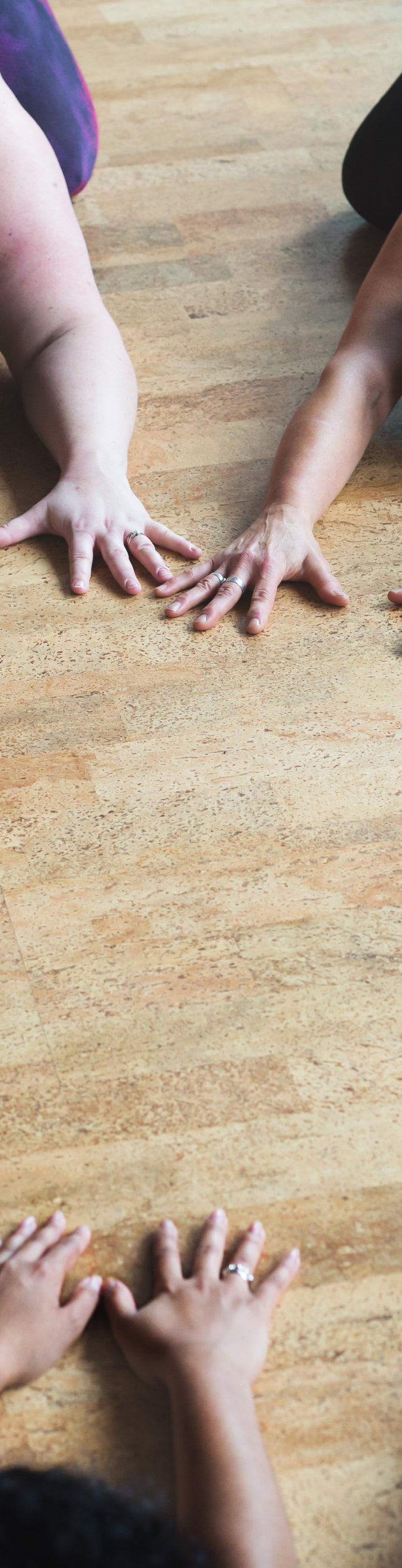 <h2>All Hail the Blog</h2>