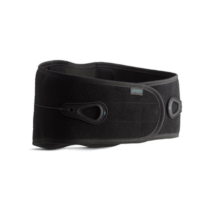 Aspen Lumbar Support